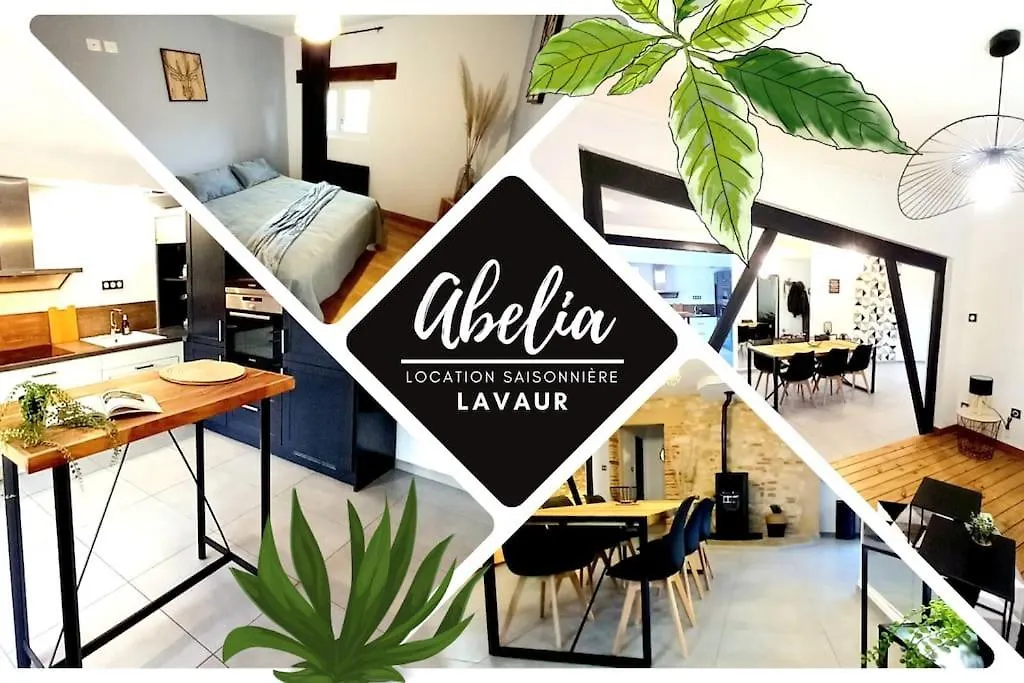 Gite Abelia Avec Exterieur Lavaur